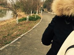 -梁鸿国家湿地公园