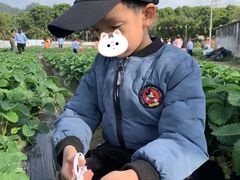 -子悦童萌国际托育中心(珠江新城店)