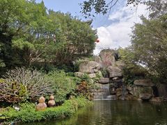 -海南热带野生动植物园