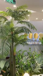 -八佰伴8008星级形象店