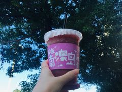 -南澳岛打卡果汁冰公司