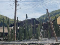 -MOJ coffee(瓯海泽雅水碓坑店)