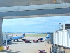 -达拉斯 沃斯堡国际机场