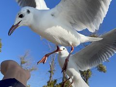 -呈贡滇池生态湿地公园