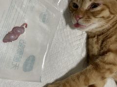 -灵美宠物诊所