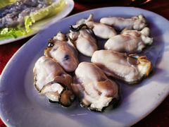 生蚝-花苑美食横琴生蚝火锅(拱北粤华路店)