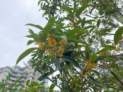 -浙江大学(玉泉校区)