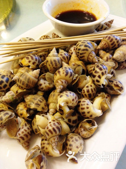 成轩海鲜大酒楼花螺图片 - 第1张