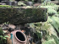 -老木棉·匠园