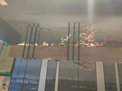 -老板恋上鱼(环山路店)