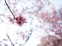 -白塘生态植物园