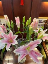 -深圳广和门诊部·整形医疗美容