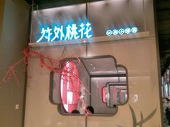 门面-竹外桃花·江南小酒馆(SKP·S店)