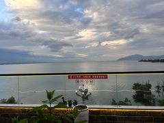 -野菌皇海景野生菌火锅(滨海大道店)