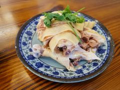 -九斤黄三黄鸡专卖店