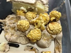 -CAKE BOSS 蛋糕老板(西单君太百货店)