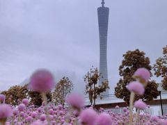 -广州塔