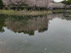 -堤角公园