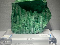 -湖南省地质博物馆