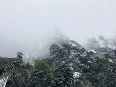 -三清山希尔顿度假酒店