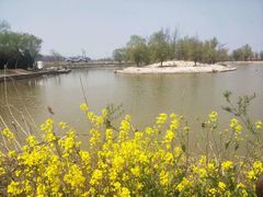 -盐城丹顶鹤湿地生态旅游区