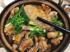 -上南瓦煲鸡·清远鸡·老字号(总店)
