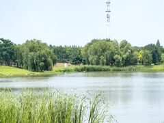 -上海滨江森林公园