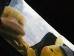 -枫花园汽车电影院(朝阳公园店)
