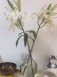 -美肤盾祛痘·问题肌头疗管理中心