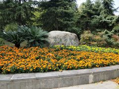 -后襄河公园