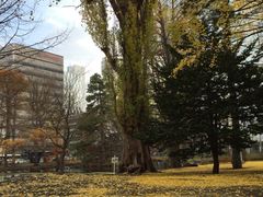 iphone_upload_pic-北海道厅旧本厅舍(旧本庁舎)