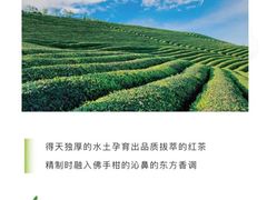 -代数学家algebraist(诚品店)