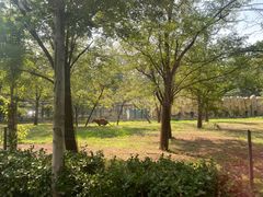 -秦皇岛野生动物园