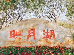 -映月湖公园