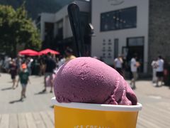 -Patagonia Chocolates(皇后镇店)