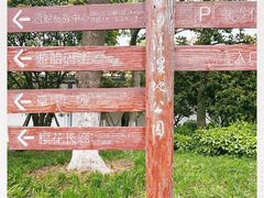 -长田漾湿地公园