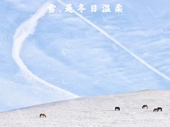 -丰宁坝上草原
