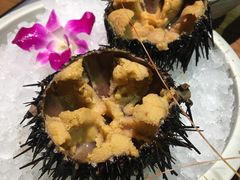 -蟹将军·松叶蟹和牛日料放题自助(K11店)