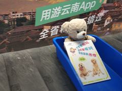 -丽江三义国际机场