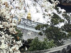 -龙华寺