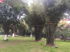 -星城之眼摩天轮