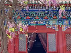 -北京国子监胡同
