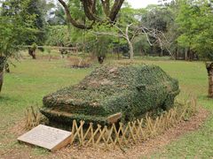 -中国科学院西双版纳热带植物园