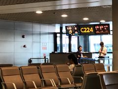 -上海浦东国际机场-T2航站楼