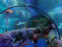 -沈阳海洋探索中心