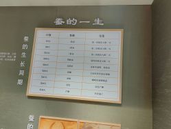 -太湖雪蚕桑文化园