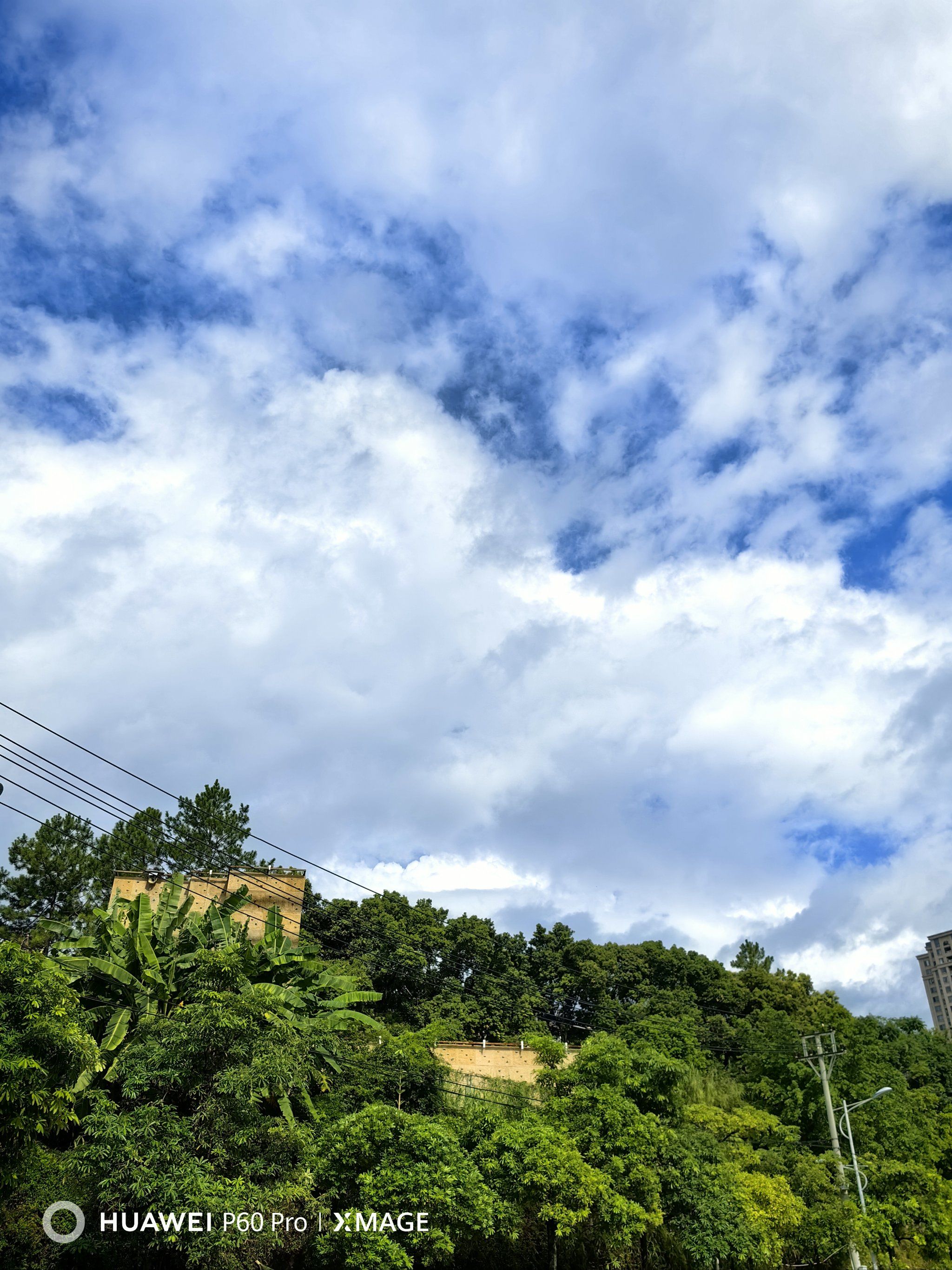 雨过天晴,出门散散步,心情也变的美美哒