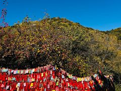 -香山公园