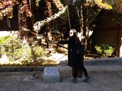 -天龙八部武侠城
