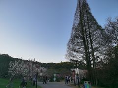 -苏州上方山国家森林公园
